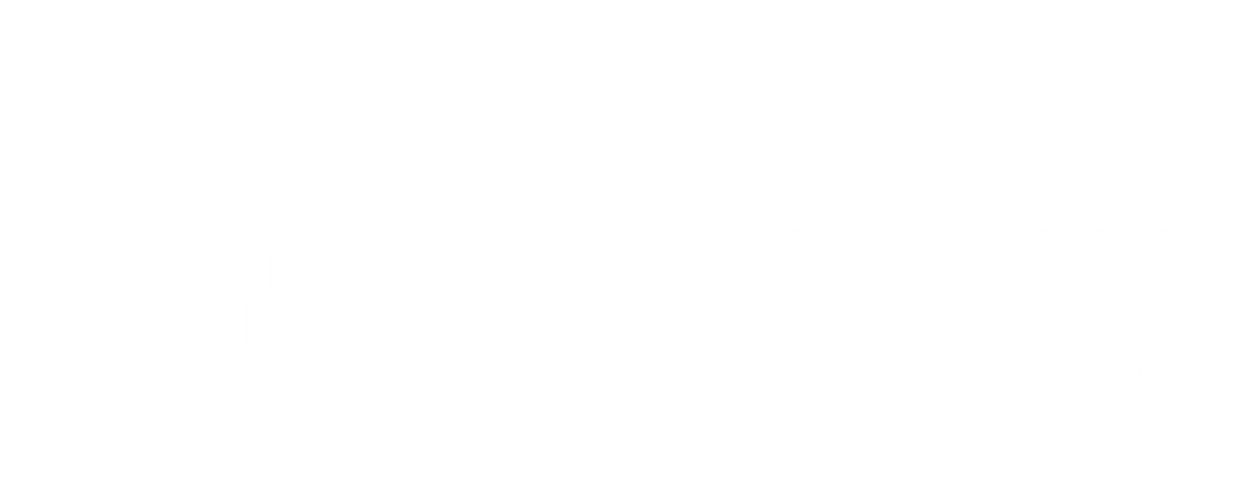 Albuquerque Community Foundation Logo White