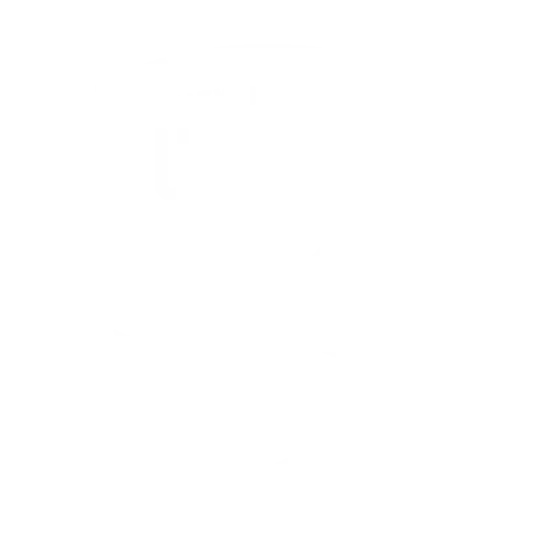 NM United Logo White