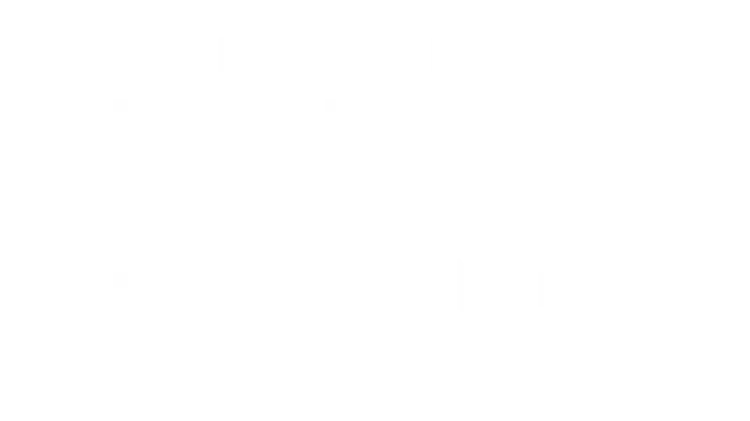 UNM Logo White